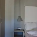 Makris Yialos Apartment Lassi (Kefalonia)